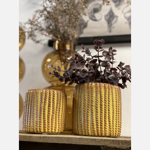 Sunset Skjuler Lille